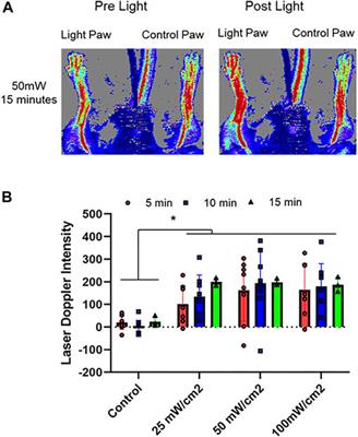 In Vivo Characterization of a Red Light-Activated Vasodilation: A Photobiomodulation Study